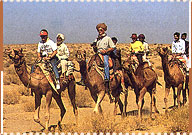 Camel Safari, Jaisalmer Travel Guide