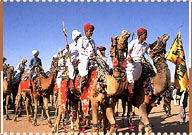Camel Safari Tour, Jaisalmer Travel Guide