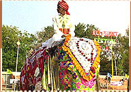Elephant Fair, Jaipur Travel Guide