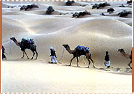 Desert Safari Tour, Jodhpur Travel Guide