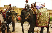 Elephant Safari, Jodhpur 