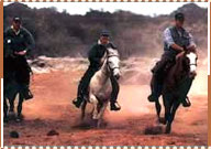 Horse Safari, Jaipur Travel Guide