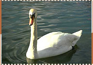 Sultan Bird Sanctuary,Delhi Travel Guide