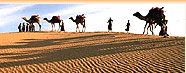 Travel In Rajasthan